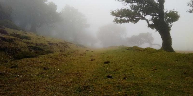 Menu Engineering: Bí quyết tăng lợi nhuận nhà hàng mà không cần tăng khách